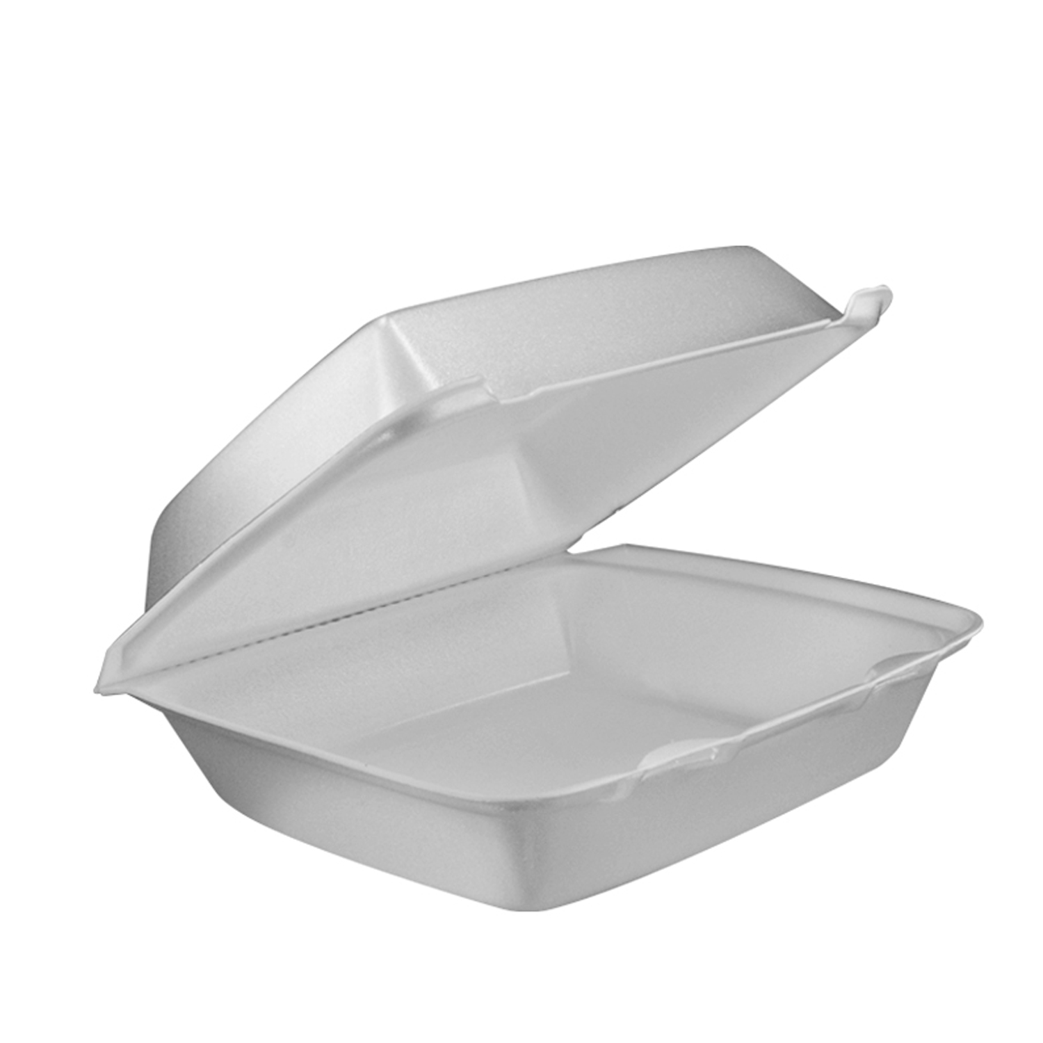 MEDIUM 1 COMPARTMENT HINGE TRAY(REMOVABLE LID) 200