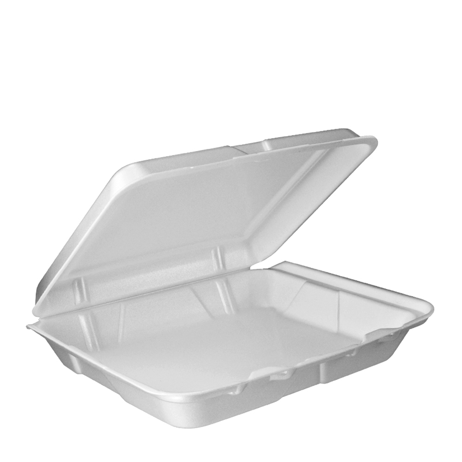 LARGE 1 COMPARTMENT HINGE TRAY(REMOVABLE LID)200