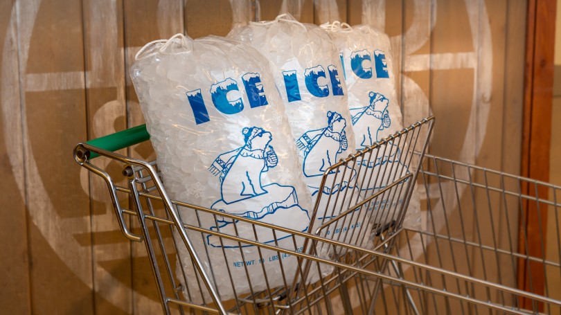 10# PRINTED DRAWSTRING ICE BAG 500/CASE